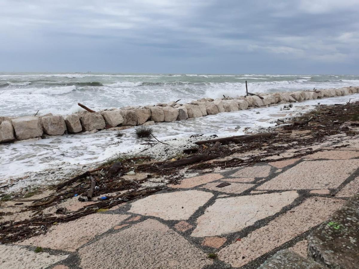 Villamamaeli Venedik-Lido Dış mekan fotoğraf